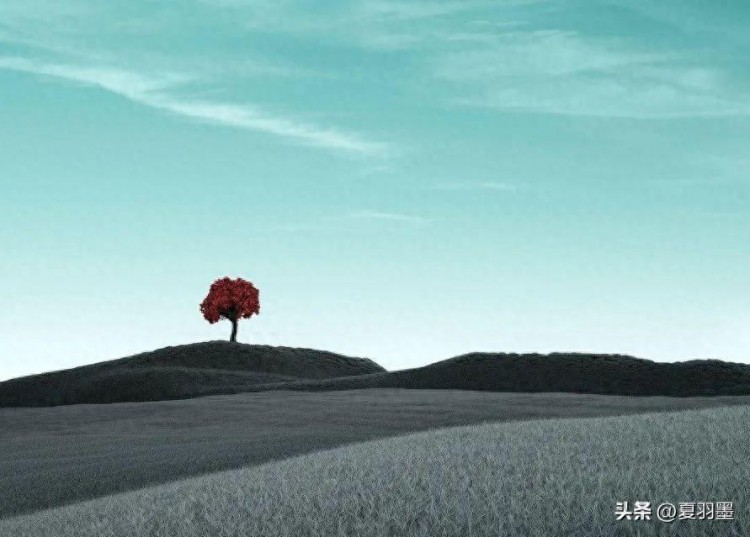 假如你的手机号码已经用了十几年了，恭喜你