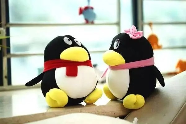 如何查看qq靓号是否是永久的？